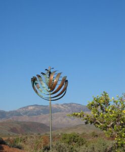 Nautilus