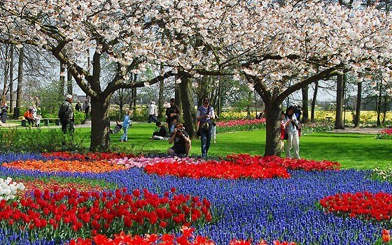 WindSculptures in de Keukenhof